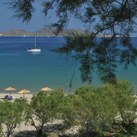Senia 4* Νάουσα